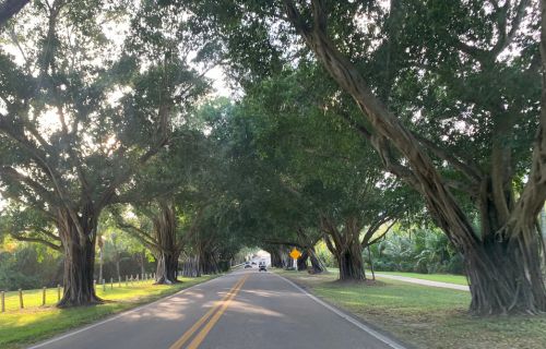 Hobe Sound, Florida